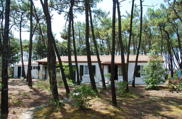 VILLA UNDER THE PINS 100 M FROM THE BEACH 12 PEOPLE