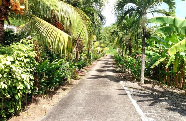 Villa Welcome