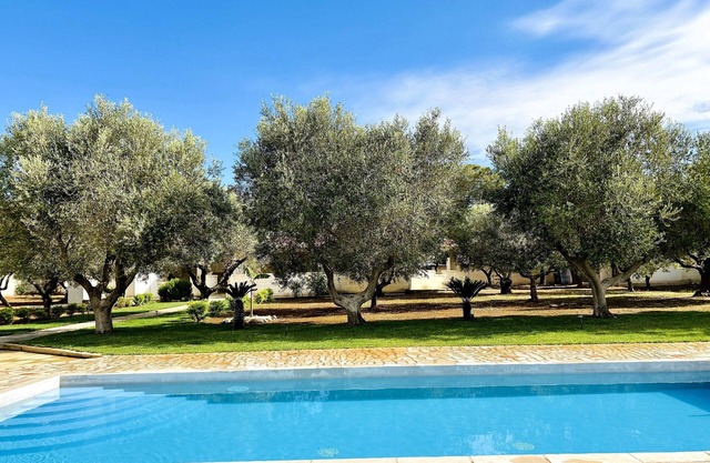 Villa with pool surrounded by olive trees in salento