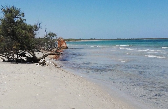 Villetta dipped in the green Torre Guaceto for a quiet holiday