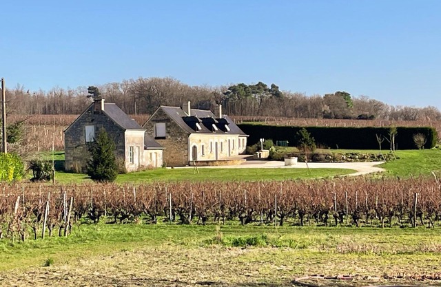 Vineyard cottage, all-inclusive, garden & bikes, near Saumur-Chinon-Langeais