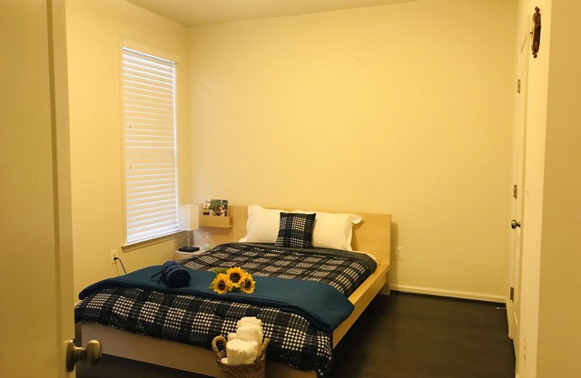 “Virginian retreat” (15 minutes from IAD Airport)