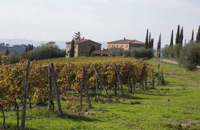 Visentini In Castellina in Chianti, Tuscany