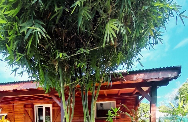 Vrbo Property
