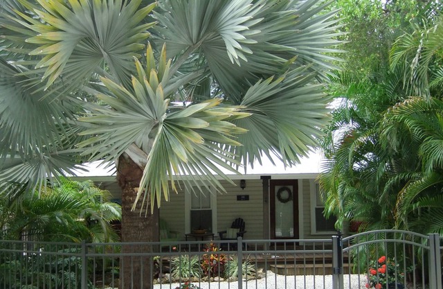 Vrbo Property