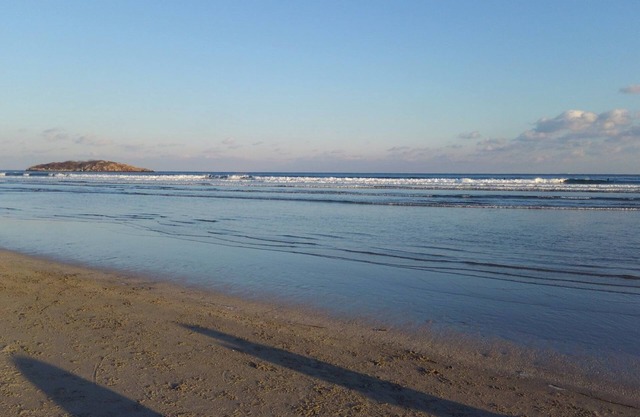 Walk to Good Harbor Beach, pet friendly, family beach home