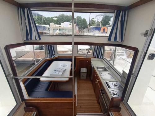 Wally Gator - API-1-46-20