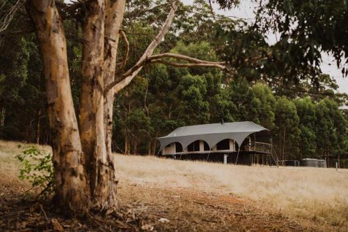 Wandagar Eco Tent - Baudin