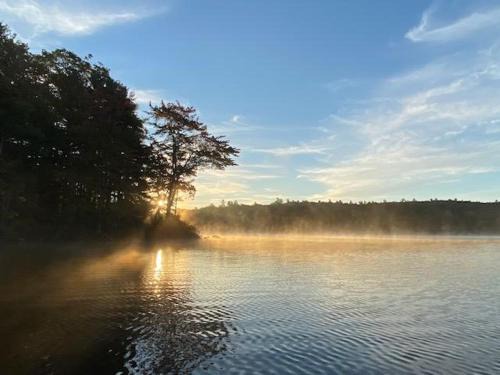 Water's Edge