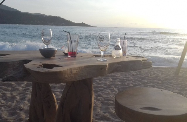 Waterfront apartment with terrace and garden