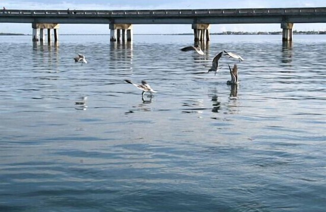 Waterfront Big Pine Key Paradise