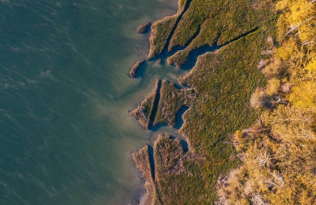 Waterfront Home on Oakland Bay in Shelton