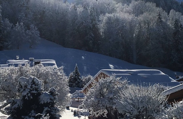 We love it! Megevan cocoon, panoramic mountain view, close to the slopes.