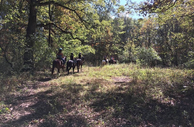 Welcome to our magical woods! Relax, unwind a world away but close to home.