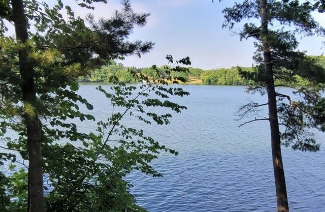 Welcoming & updated Lakefront cabin with AC in Turtle Lake - 2 bedrooms