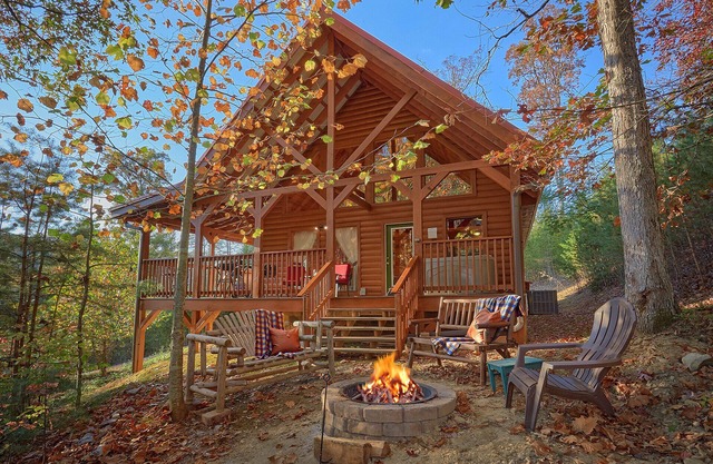 Wet Bear Paws: Have a Paw-sitively Great Smoky Mountain Getaway!