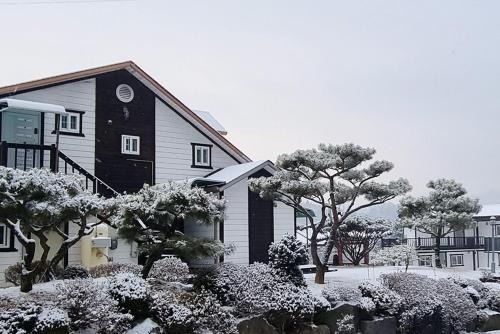 White House in Forest
