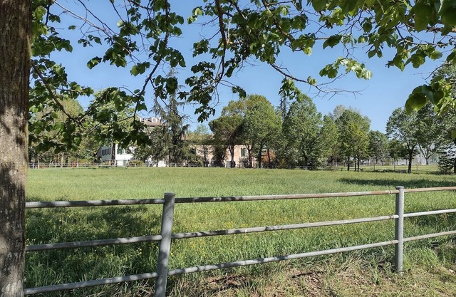 "White House" to discover a territory