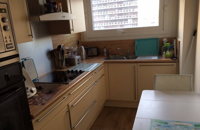 whole apartment large T4 full downtown