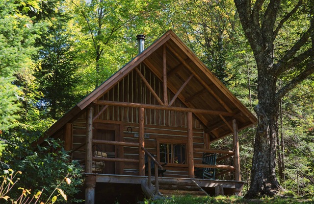 Wildlife Haven, Remote Cabin, Meals & Boats Included, Shared Bath