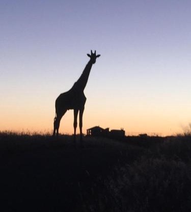 Windhoek Rural Self Catering