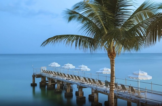 Wonderful Stay, Amazing Location! 4 Comfortable Units, 3 Pools, Onsite Spa