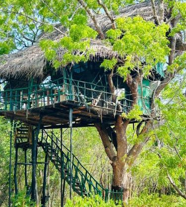 Yala Tree House by 47