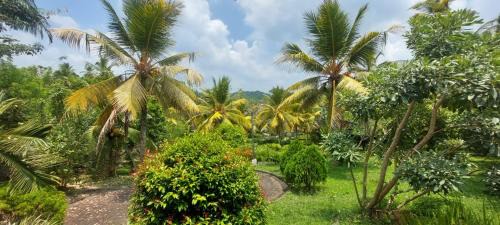 Yaya Estate