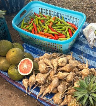 Yidan Farmstay in Chiang Dao