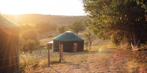 Yourte au coeur des chevaux