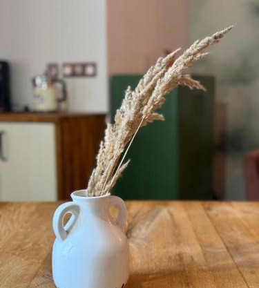 Z a b r s a i n t Apartamenty z Duszą xVIII