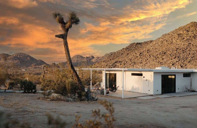 Zebra Shadow By The Cohost Company