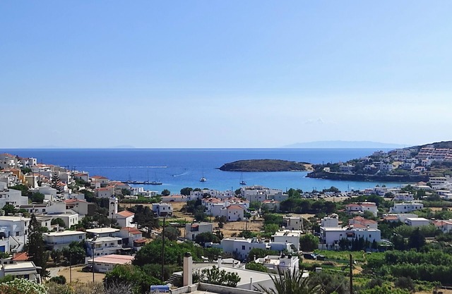 Zenios Andros - Cycladic house with amazing view