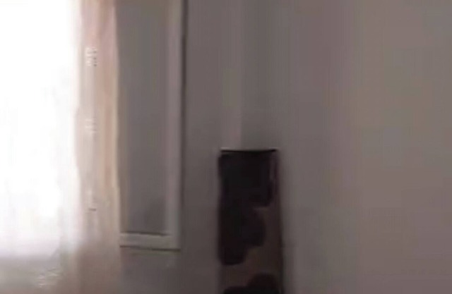 zeraldchic