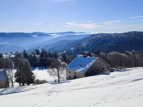 Basse-sur-le-Rupt Bed & Breakfast | Évasion tranquille dans les Vosges : chambre avec vue, cheminée et cuisine locale - FR-1-589-623