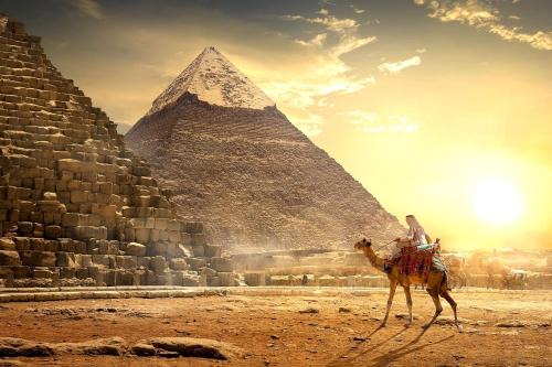 Giza Apartment | شقق فرساي الفندقيه