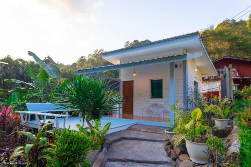 Doi Saket House | ปางสูงเฮาส์ pangsung house บ้านกลางดอย