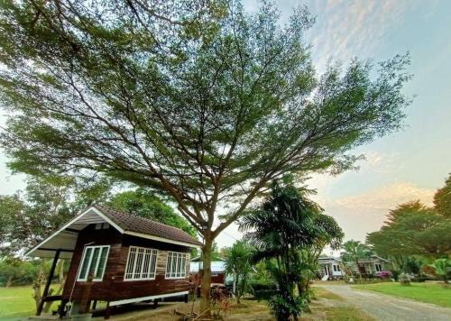 Pak Phli Resort | ผาผึ้ง Neverland
