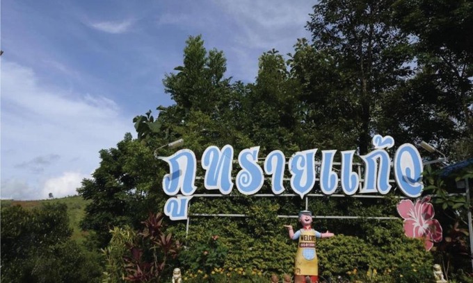 Wang Nam Khiao Resort | ภูทรายแก้วรีสอร์ทวังน้ำเขียว