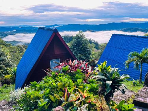 Tap Tao Ski Chalet | อุกฤษฟาร์มฮิลล์ ภูชี้ฟ้า