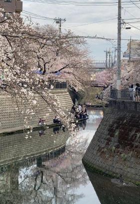 Minami Ward Villa | 桜川別莊