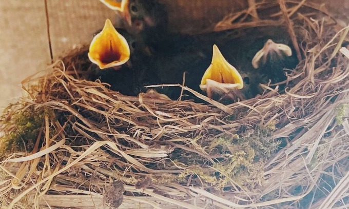 Saint-Phal House | 00 - Le Gite de Saint Phal