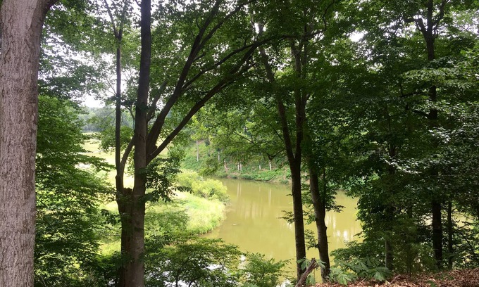 Kingsmill Condo | 1 BR Kingsmill Resort Condo minutes to Colonial Williamsburg!