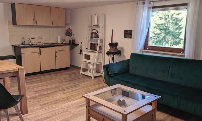 Furtwangen Apartment | 1 Holiday apartment Zum Wilden Michel