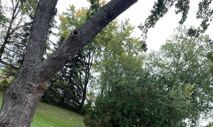Green Bay House | 10 Minutes from Lambeau Field. Green Bay Packer Themed House!