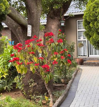 Edenvale Apartment | 15 On Palm East