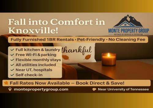Knoxville Apartment | 1BR Near UT & Hospitals Quiet & Cozy Pet Friendly