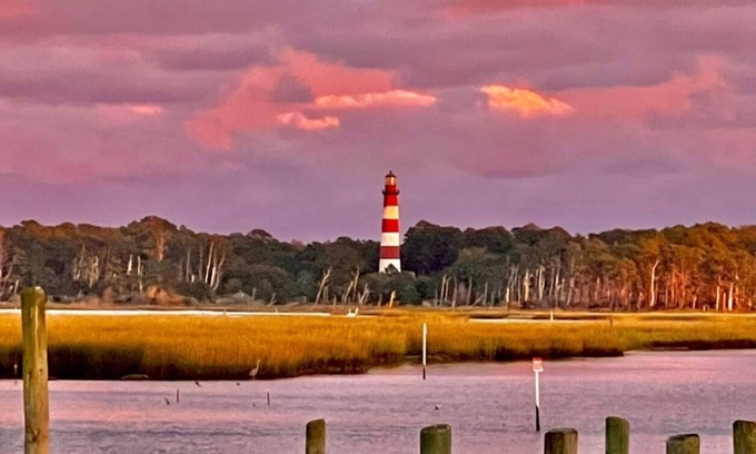 Chincoteague Cottage | 1BR Waterfront cottage with a view of the wild Chincoteague ponies!