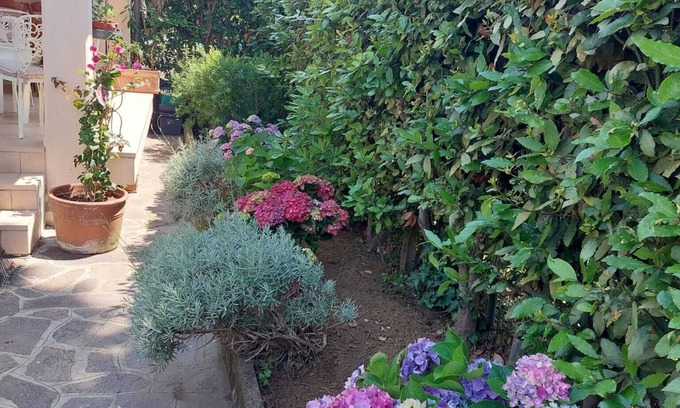 Torre del Lago Puccini House | 2 Bedroom Private vacation home in Torre del Lago Puccini