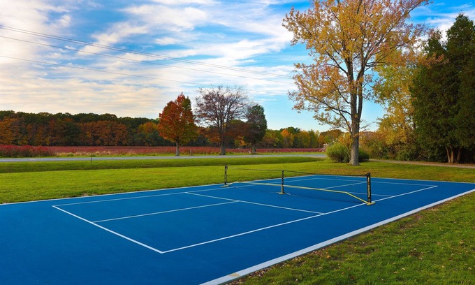 South Haven Cabin | 2 Cabins| HotTub | Pickleball | FirePit | King Bed